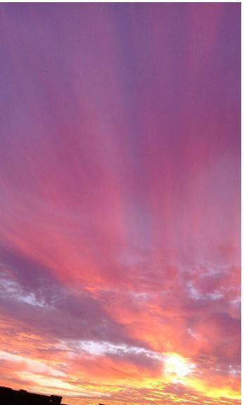 नागपूर (फोटो : मयुरी चपळगावकर)