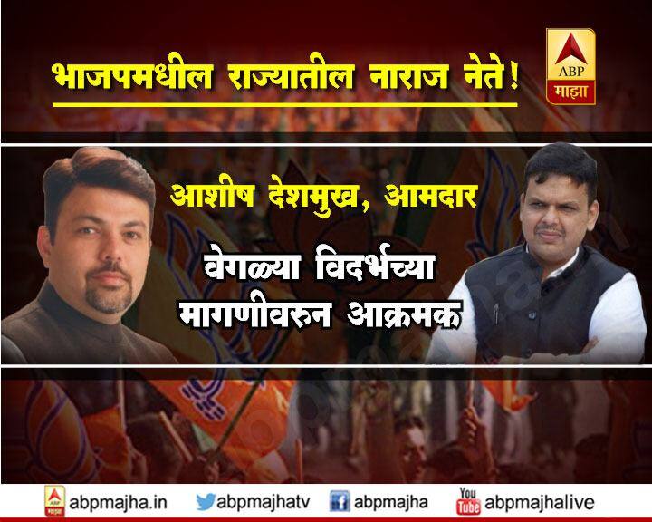  आशिष देशमुख, आमदार : वेगळ्या विदर्भाच्या मागणीवरुन आक्रमक 