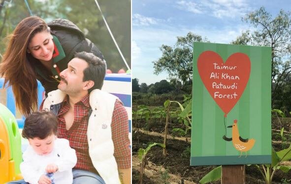 Kareena Kapoor’s Son Taimur Gets A Forest as birthday gift latest update तैमूर अली खानला बर्थडे गिफ्ट म्हणून सोनवे गावात जंगल