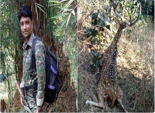Gondia : Deer jumps on bike, police died on the spot latest update हरिणाची बाईकवर झेप, अपघातात पोलिसाचा जागीच मृत्यू