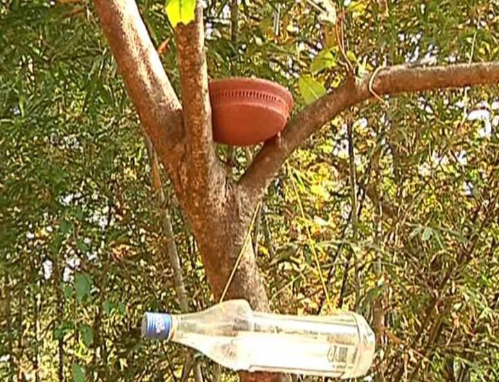 वारणा , कोडोली या परिसरातील मंगल कार्यालयात लग्नानंतर पडलेल्या अक्षता गोळा करून आणि प्रत्येक घरातून एक मूठ धान्य असं दीड क्वींटल धान्य जमवून ते स्वच्छ करून पक्षांना देण्यासाठी पावन गडावर आणलं. 