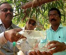 पक्षांसाठी मूठभर धान्य, मुबलक पाणी, कोल्हापूरच्या तरुणांचा संकल्प