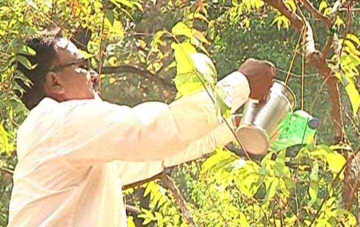 आपल्या आजूबाजूला असणाऱ्या पक्षांची संख्या दिवसेंदिवस कमी होत चालली आहे. हीच अवस्था जंगलांमध्ये आहे. दिवसेंदिवस पक्षांची संख्या कमी होत चालल्याने निसर्गचक्रासाठी ती चिंतेची बाब आहे. 