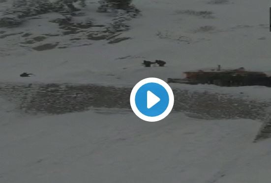 Avalanche in Kupwara’s Tangdhar in Jammu and Kashmir latest updates जम्मू-काश्मिरात हिमस्खलन, 6 जणांचा मृत्यू