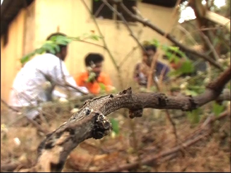 औरंगाबादमध्ये व्हाईटनरच्या नशेचा जीवघेणा विळखा