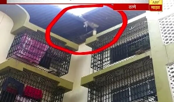 Monkey found dead in Thane lokmanya nagar buildings terrace latest update ठाण्यात इमारतीच्या गच्चीवर माकड फास लागलेल्या अवस्थेत