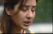 Bigg Boss 11: पत्रकार परिषदेतच शिल्पा शिंदेला रडू कोसळलं! 