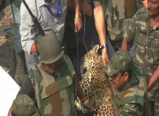 Mumbai : Leopard in Mulund’s Nanepada latest update मुंबईत मुलुंडमध्ये शिरलेला बिबट्या सहा तासांनी जेरबंद