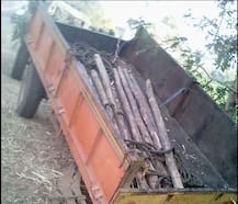 सांगलीत भीषण अपघातात 6 पैलवान ठार