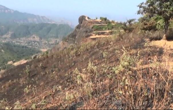 Mahabaleshwar : Cigarette of tourist caused fire in jungle latest update महाबळेश्वरमध्ये पर्यटकाच्या सिगरेटमुळे 5 किलोमीटरपर्यंत वणवा