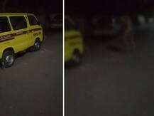 मद्यधुंद तरुणाकडून नग्न अवस्थेत चारचाकी गाड्यांची तोडफोड