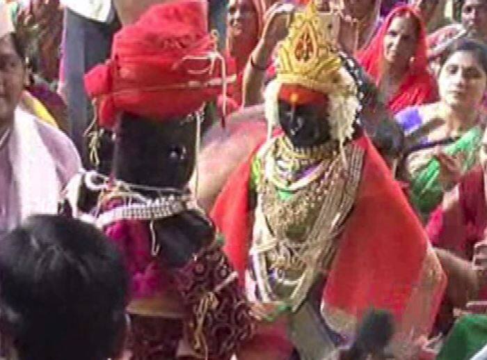विठ्ठल मंदिरातील सभामंडपाला लग्नस्थळाचे स्वरूप देण्यात आले होते. संपूर्ण सभामंडप फुले आणि फुग्यांनी सजविण्यात आला होता. 