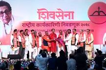 शिवसेना लोकसभा, विधानसभा स्वबळावर लढणार!