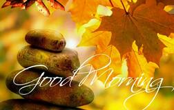 'गुड मॉर्निंग'चे मेसेज कमी पाठवा, मोबाईल स्टोरेज कमी होतंय