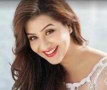 अभिनेत्री शिल्पा शिंदेचे खास फोटो 