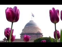 मनमोहक फुलांचे ताटवे, राष्ट्रपती भवनातील मुघल गार्डन