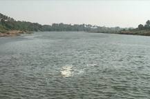 कृष्णामाईच्या काठावर मगरींचा वावर