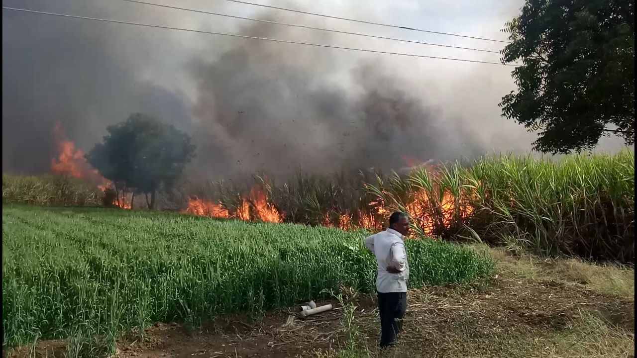 तोंडाशी आलेला घास गेला, जालन्यात 20 एकरातील ऊसाची राख