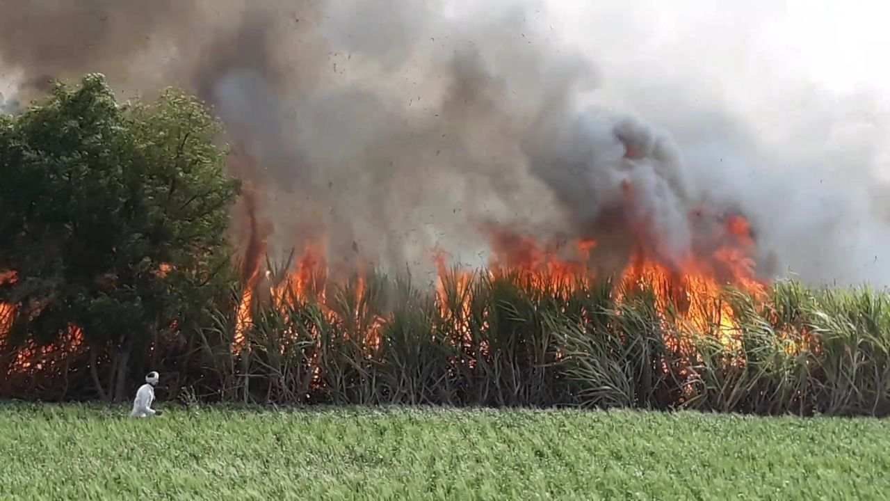 तोंडाशी आलेला घास गेला, जालन्यात 20 एकरातील ऊसाची राख