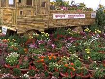 पाना-फुलांतून समुद्राची सफर, मुंबईत अनोखं उद्यान प्रदर्शन