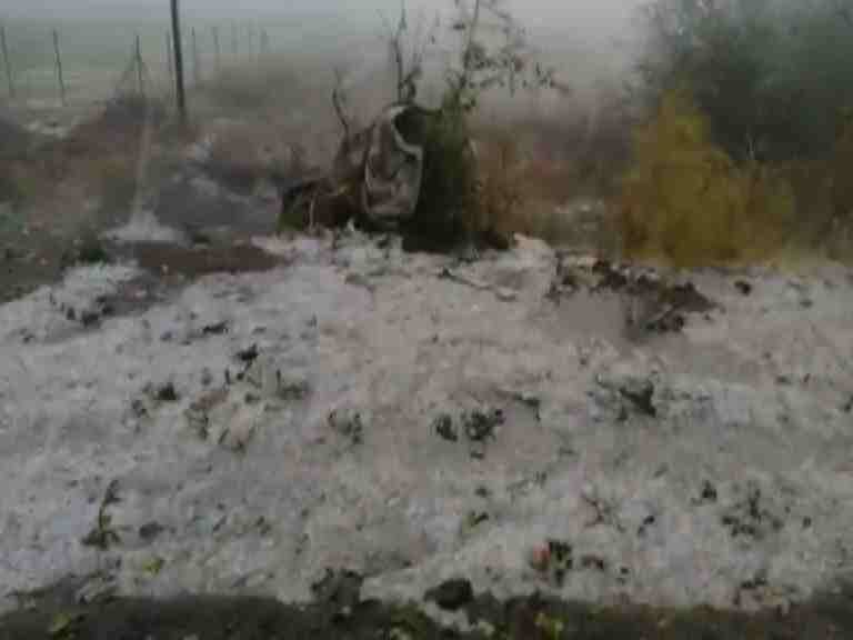marathwada and vidarbha loss of farming due to hailstorm latest update शेतकऱ्यांच्या हातातोंडाशी आलेला घास गारपिटीनं हिरावला