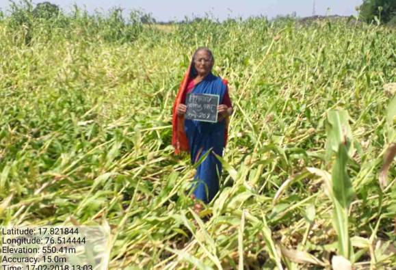 गारपीटग्रस्तांना गुन्हेगारांप्रमाणे वागणूक, उमरग्यातील प्रकार