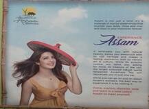 प्रियंकाच्या \'फॅशन\'मुळे आसाम पर्यटनाच्या कॅलेंडरवर \'ऐतराज\'