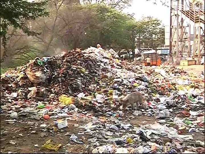 garbage issue in aurangabad since last 8 days latest marathi news updates औरंगाबादमध्ये 8 दिवसांपासून अभूतपूर्व कचराकोंडी, राष्ट्रवादी काँग्रेसचं आंदोलन