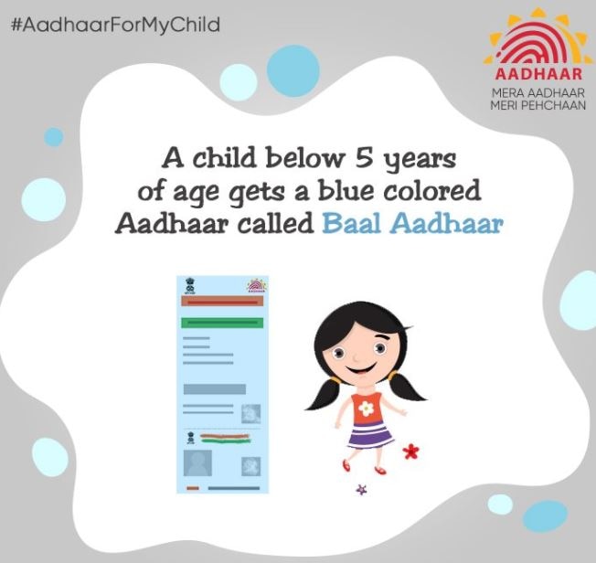 child below 5 years of age gets a blue in coloured Aadhaar card लहानग्यांनाही आधार कार्ड लागू, UIDAI ची माहिती