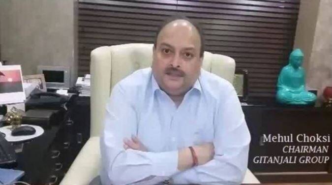 PNB scam ED attaches 41 properties worth Rs 1217.20 crore f Mehul Choksi पीएनबी घोटाळा : मेहुल चोकसीची आणखी 1217 कोटींची मालमत्ता जप्त
