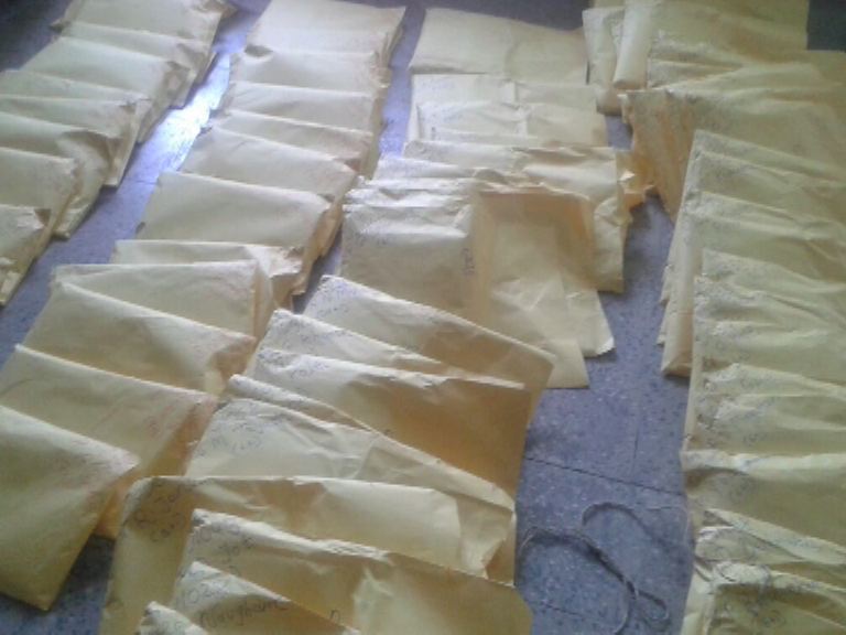 बारावीच्या पेपर तपासणीवर शिक्षक संघटनेचा बहिष्कार