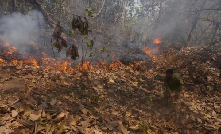 गेल्या अनेक दिवसांपासून एकाच ठिकाणी आग लागत असल्यानं हे मानवनिर्मित वणवे तर नाहीत ना....अशीही शंका व्यक्त होतेय. 