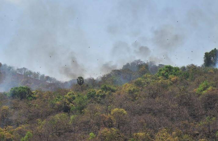 दरम्यान ठाण्याच्या जंगलांमध्ये वारंवार वणवे पेटत असल्यानं ते रोखण्यासाठी युद्धपातळीवर उपाय करण्याचे आदेश नुकतेच वनमंत्र्यांनी दिले होते. 