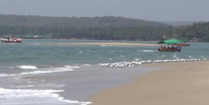 निसर्गानं मुक्त हस्तानं उधळण केलेला भोगवे बीच