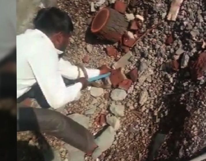 Boy dies after snake bite in ahmednagar VIDEO : सापासोबत स्टंटबाजी जीवावर, दंशाने 28 वर्षीय तरुण मृत्यूमुखी