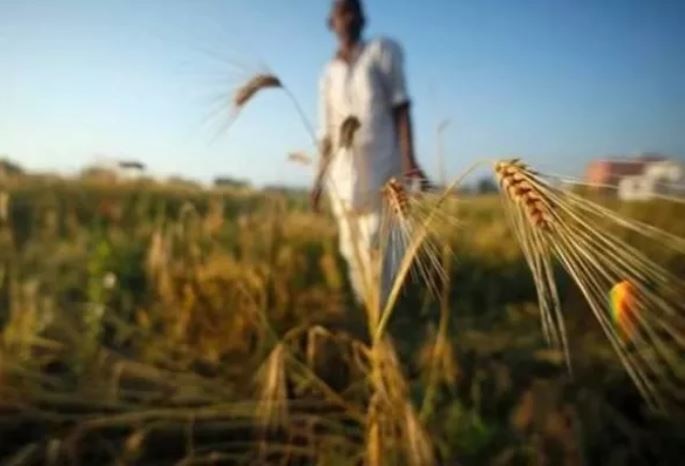 Maharashtra's 696 farmers commit suicide in January to March this year आत्महत्यांचं सत्र सुरुच, तीन महिन्यात 696 शेतकऱ्यांच्या आत्महत्या