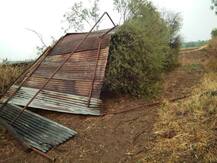 मराठवाडा, विदर्भात अवकाळी पावसाचा कहर, विजेचे सहा बळी