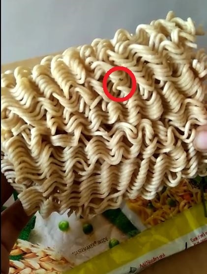 Insects and larvae found in Maggi which was brought from D mart डी-मार्टमधून आणलेल्या मॅगीत किडे आणि अळ्या