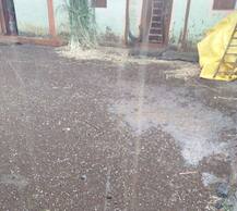 राज्यात सलग दुसऱ्या दिवशीही अवकाळी पाऊस, पीकांचं मोठं नुकसान