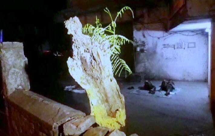 Mumbai: man dies after tree falls him दादरमध्ये झाड अंगावर पडून 38 वर्षीय व्यक्तीचा मृत्यू