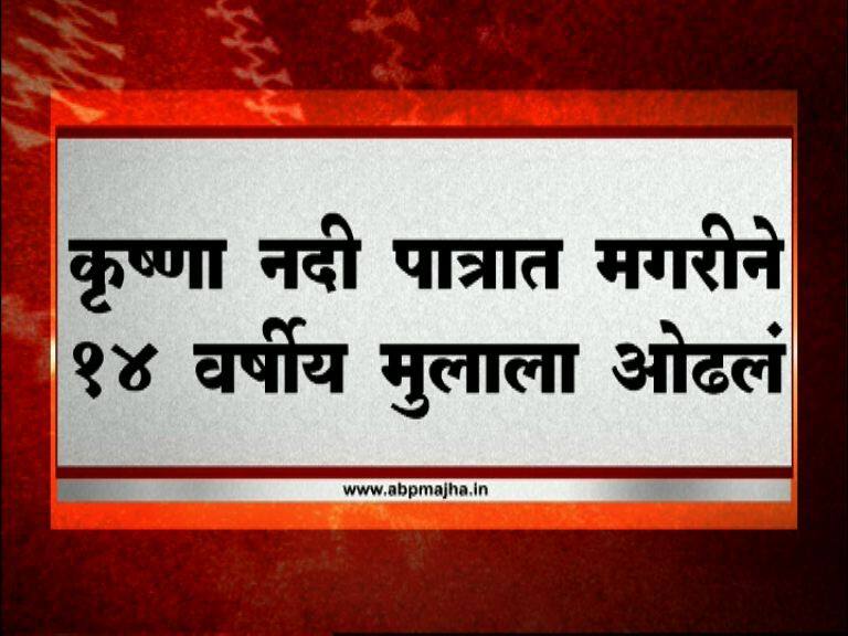 crocodile pulls 14 year old boy in Krishna river latest update कृष्णा नदी पात्रात मगरीने 14 वर्षाच्या मुलाला ओढलं