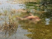 मगरीने ओढलेल्या सागरचा मृतदेह शोधण्यात अखेर यश