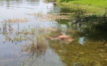 मगरीने ओढलेल्या सागरचा मृतदेह शोधण्यात अखेर यश