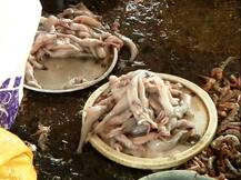 नववर्षाच्या पार्श्वभूमीवर मासे महागले, आवक घटली