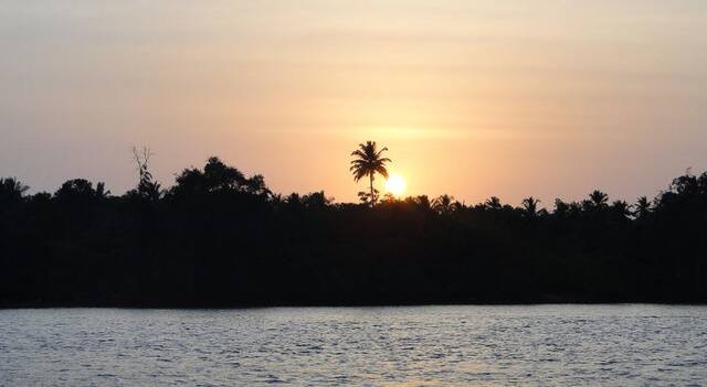 वीकेंडचा प्लॅन करताय? राज्यातली ही सुंदर ठिकाणं पाहा