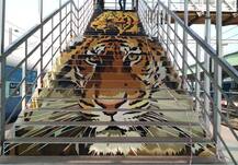 रेल्वे स्टेशन सौंदर्यीकरण स्पर्धेत महाराष्ट्राची बाजी