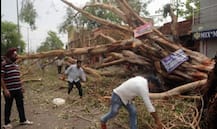 13 राज्यात वादळी पावसाचा अंदाज, हरियाणात शाळांना सुट्टी