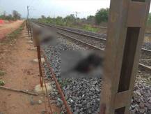 रेल्वेच्या धडकेत 35 बकऱ्यांचा मृत्यू तर 17 बकऱ्या जखमी