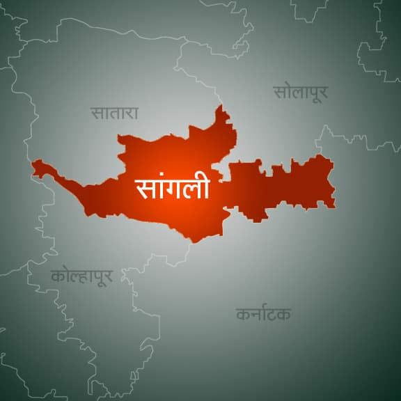 palus kadegaon nahab Tehsildar suspended latest update पोटनिवडणुकीच्या कामात हलगर्जीपणा, नायब तहसीलदार निलंबित