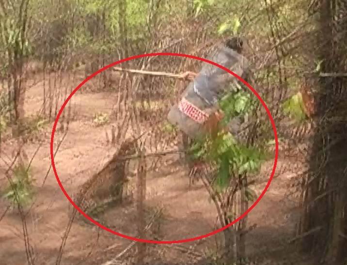 Leopard attack on forest officer in Chandrapur latest update चंद्रपुरात बिबट्याचा वन अधिकाऱ्यावर हल्ला